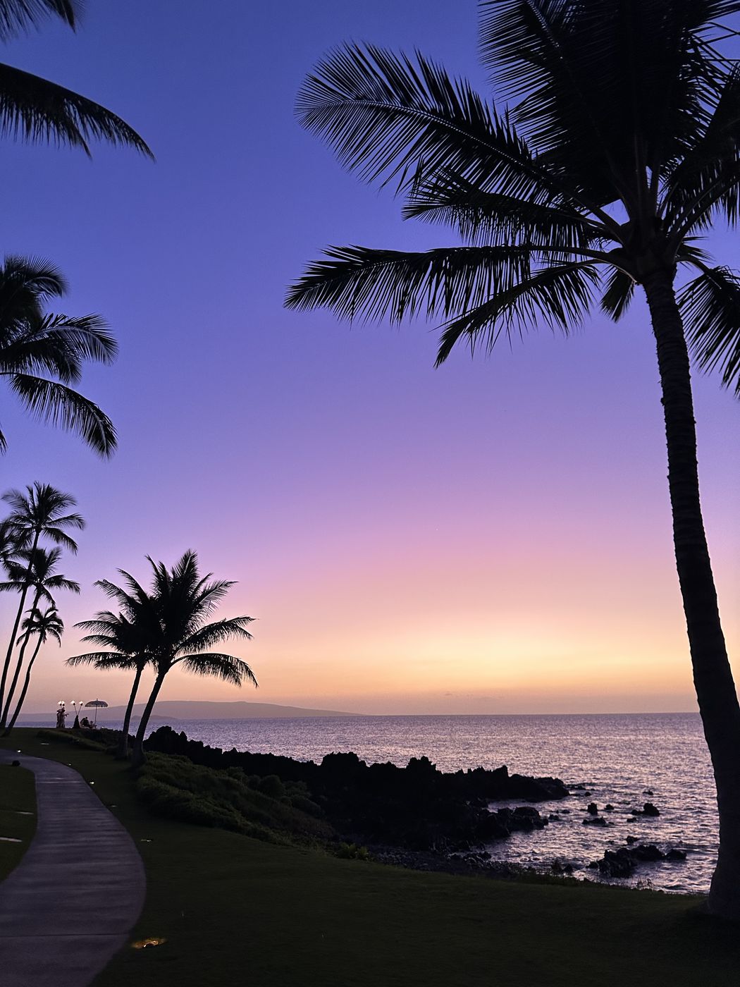 Palm trees against a purple sunset